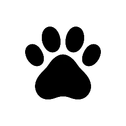 The Pawsh Edit