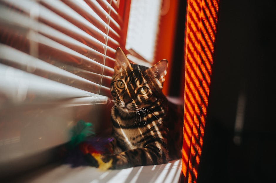 Bengal cat resting by a sunlit window with blinds casting shadows, creating a cozy atmosphere.